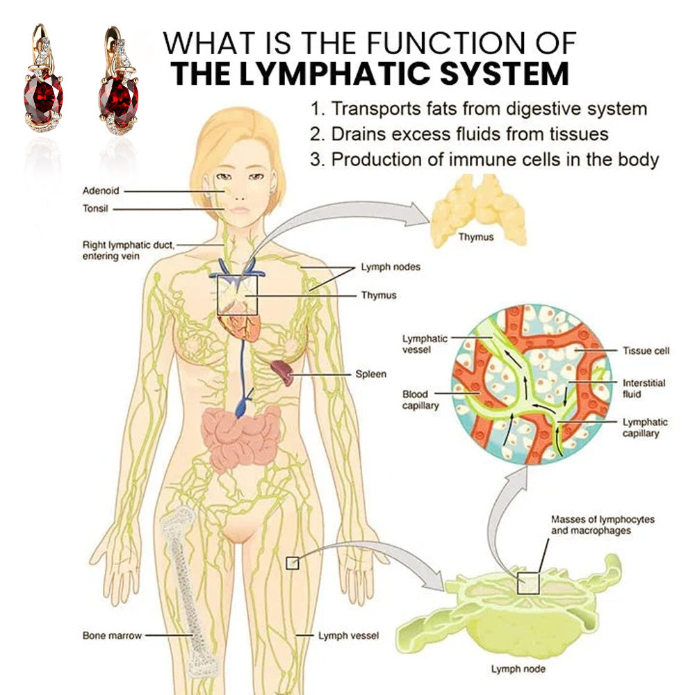🔥LAST DAY SALE-80% OFF🔥🎉𝐋𝐲𝐦𝐩𝐡𝐯𝐢𝐭𝐲 𝐌𝐚𝐠𝐧𝐞𝐓𝐡𝐞𝐫𝐚𝐩𝐲 𝐆𝐞𝐫𝐦𝐚𝐧𝐢𝐮𝐦 𝐄𝐚𝐫𝐫𝐢𝐧𝐠𝐬