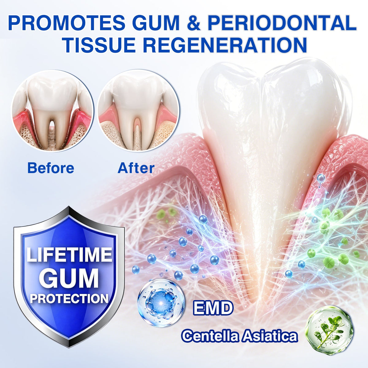 🇺🇸🏅🦷🛡️Purelora® GumRevive Periodontal Repair Gel